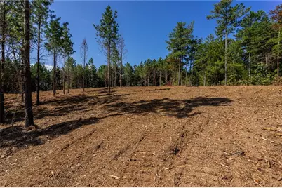 2 Young Loop, Fairmount, GA 30139 - Photo 5