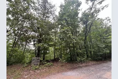 198 Log Round Mountain Trail, Ellijay, GA 30540 - Photo 9