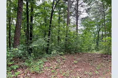 198 Log Round Mountain Trail, Ellijay, GA 30540 - Photo 3