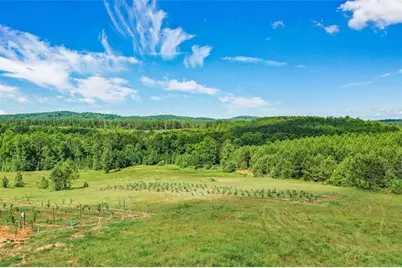 119 Inland Drive, Talking Rock, GA 30175 - Photo 7