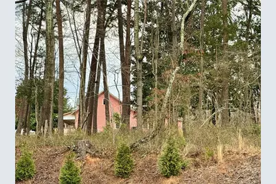 0 Academy Avenue, Dawsonville, GA 30534 - Photo 3