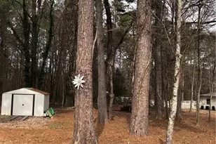 158 Rabbit Hill Rd, Dacula, GA 30019 - Photo 63