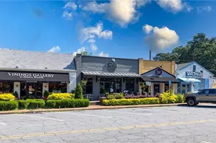 390 Alpine Dr, Roswell, GA 30075 - Photo 53