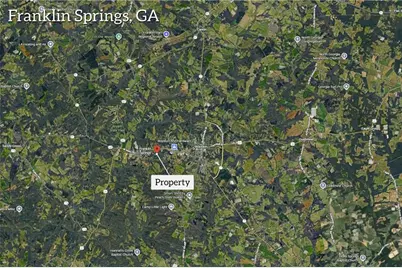 141 Carey Street, Franklin Springs, GA 30662 - Photo 3