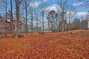 3454 Coach Ct, Gainesville, GA 30507 - Photo 27