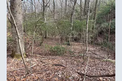 Lot 9F Renate Drive, Jasper, GA 30143 - Photo 5