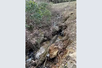 Lot 9F Renate Drive, Jasper, GA 30143 - Photo 9