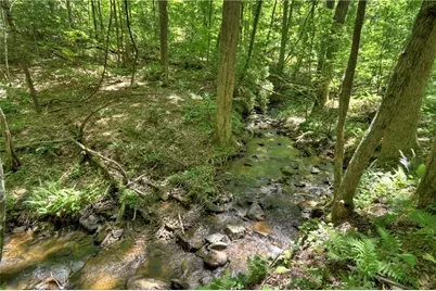 276 Pine Ridge Road, Ellijay, GA 30536 - Photo 9