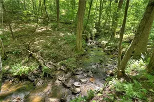 276 Pine Ridge Rd, Ellijay, GA 30536 - Photo 9