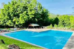 276 Pine Ridge Rd, Ellijay, GA 30536 - Photo 53