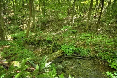 276 Pine Ridge Road, Ellijay, GA 30536 - Photo 11