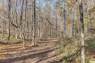 6360 Nix Road, Dawsonville, GA 30534 - Photo 3