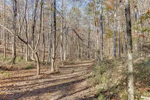 6360 Nix Rd, Dawsonville, GA 30534 - Photo 3