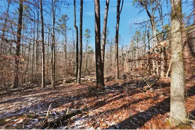 3220 Hidden Valley Road, Gainesville, GA 30506 - Photo 7
