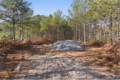 112 Redding Drive, Bremen, GA 30110 - Photo 17