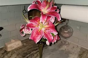 224 Chimney Sweep Trail, Fairmount, GA 30139 - Photo 53