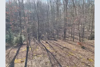 224 Chimney Sweep Trail, Fairmount, GA 30139 - Photo 25