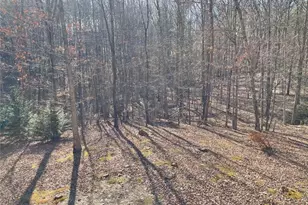 224 Chimney Sweep Trail, Fairmount, GA 30139 - Photo 23