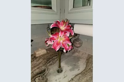 224 Chimney Sweep Trail, Fairmount, GA 30139 - Photo 53