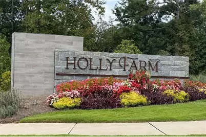 1043 Ridgeview Road, Woodstock, GA 30188 - Photo 55