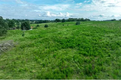 0 Turkey Creek Road, Carnesville, GA 30521 - Photo 5