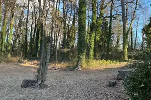 2366 Country Club Dr, Atlanta, GA 30311 - Photo 7