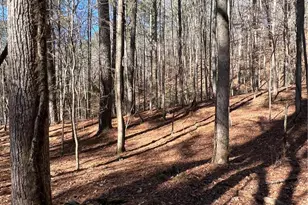 18 Lily Ln, Ellijay, GA 30540 - Photo 1