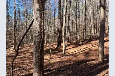 18 Lily Lane, Ellijay, GA 30540 - Photo 9