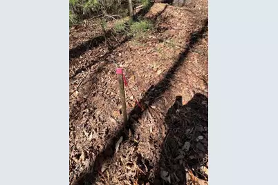 18 Lily Lane, Ellijay, GA 30540 - Photo 17