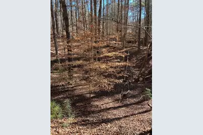 18 Lily Lane, Ellijay, GA 30540 - Photo 15