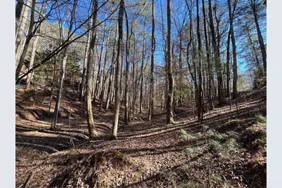 18 Lily Lane, Ellijay, GA 30540 - Photo 27