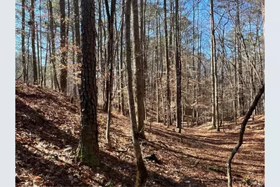 18 Lily Lane, Ellijay, GA 30540 - Photo 11