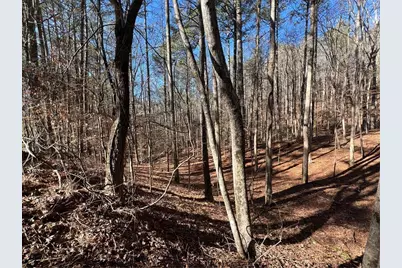 18 Lily Lane, Ellijay, GA 30540 - Photo 25