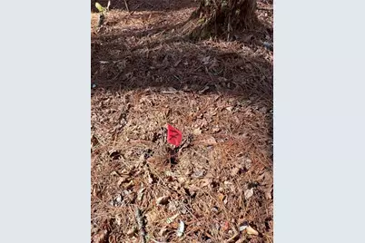 18 Lily Lane, Ellijay, GA 30540 - Photo 13