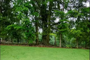 386 Red Dragon Dr, Jefferson, GA 30549 - Photo 17