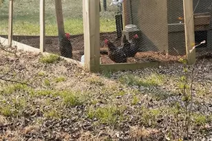 25 Vaughn Spur NE, Cartersville, GA 30121 - Photo 39