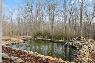 8399 E Carroll Rd, Whitesburg, GA 30185 - Photo 33