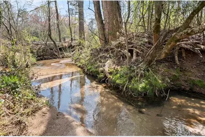4541 Cavender Creek Road, Dahlonega, GA 30533 - Photo 67
