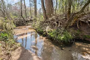 4541 Cavender Creek Rd, Dahlonega, GA 30533 - Photo 67