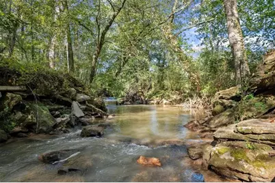 4541 Cavender Creek Road, Dahlonega, GA 30533 - Photo 69