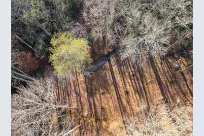 4541 Cavender Creek Road, Dahlonega, GA 30533 - Photo 61