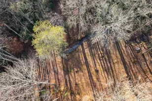 4541 Cavender Creek Rd, Dahlonega, GA 30533 - Photo 61