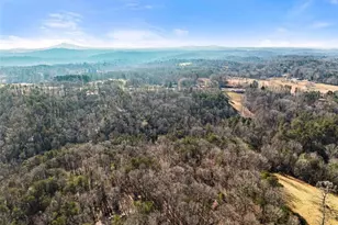 4541 Cavender Creek Rd, Dahlonega, GA 30533 - Photo 57