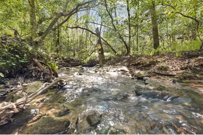 4541 Cavender Creek Road, Dahlonega, GA 30533 - Photo 65