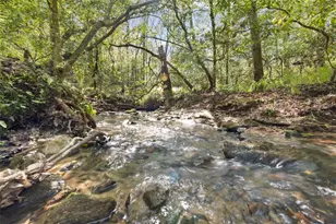 4541 Cavender Creek Rd, Dahlonega, GA 30533 - Photo 65