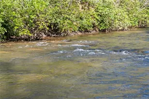 4541 Cavender Creek Rd, Dahlonega, GA 30533 - Photo 63