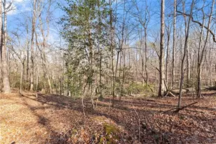 4541 Cavender Creek Rd, Dahlonega, GA 30533 - Photo 47