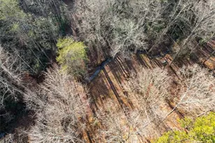 4541 Cavender Creek Rd, Dahlonega, GA 30533 - Photo 59