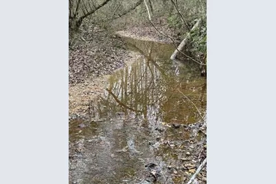 0 Center Road, Cartersville, GA 30121 - Photo 9