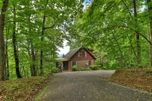 181 Ridge Cir, Blue Ridge, GA 30513 - Photo 55